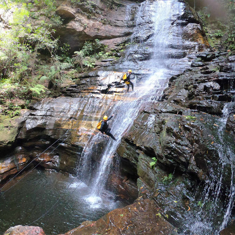 RESILIENCE FOR TEAMS AUSTRALIA