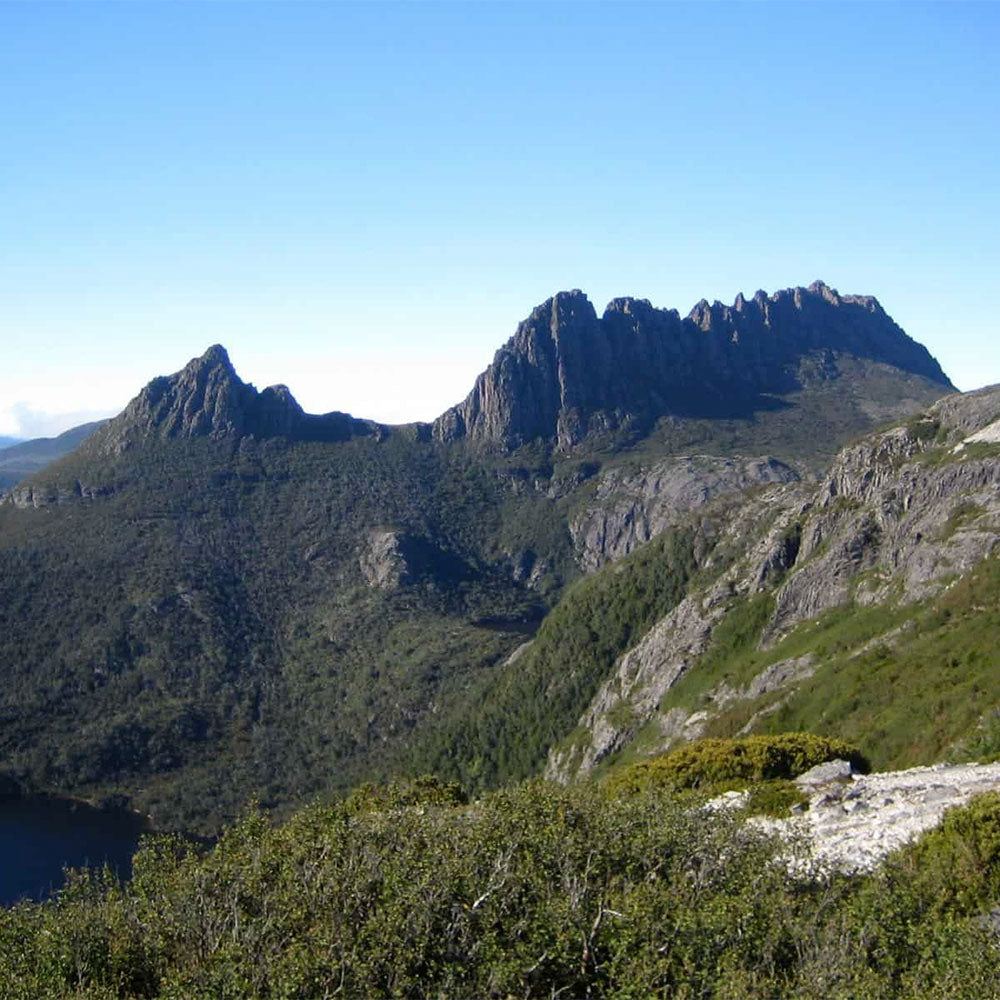 RESILIENCE FOR TEAMS AUSTRALIA