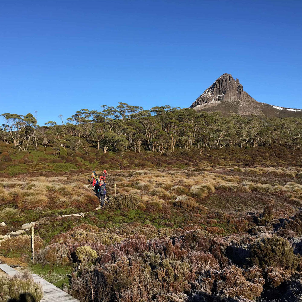 RESILIENCE FOR TEAMS AUSTRALIA
