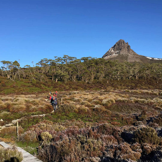 RESILIENCE FOR TEAMS AUSTRALIA