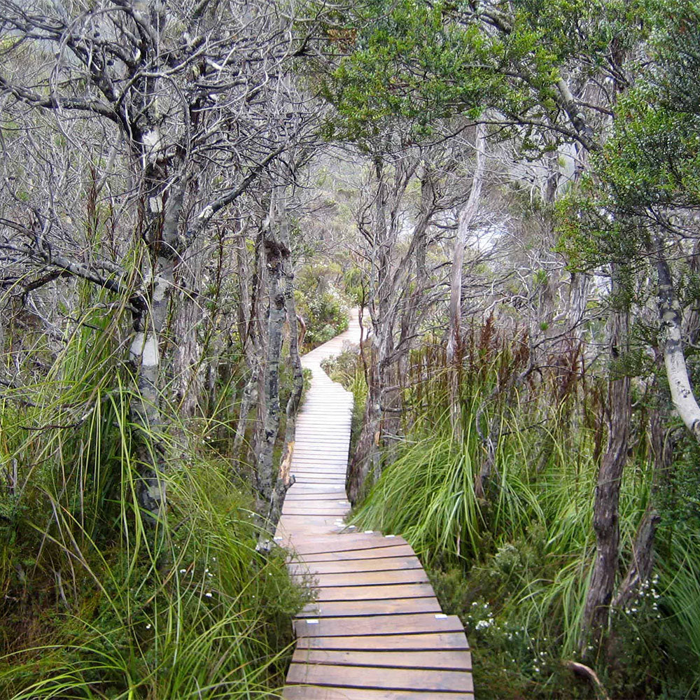 RESILIENCE FOR TEENS AUSTRALIA