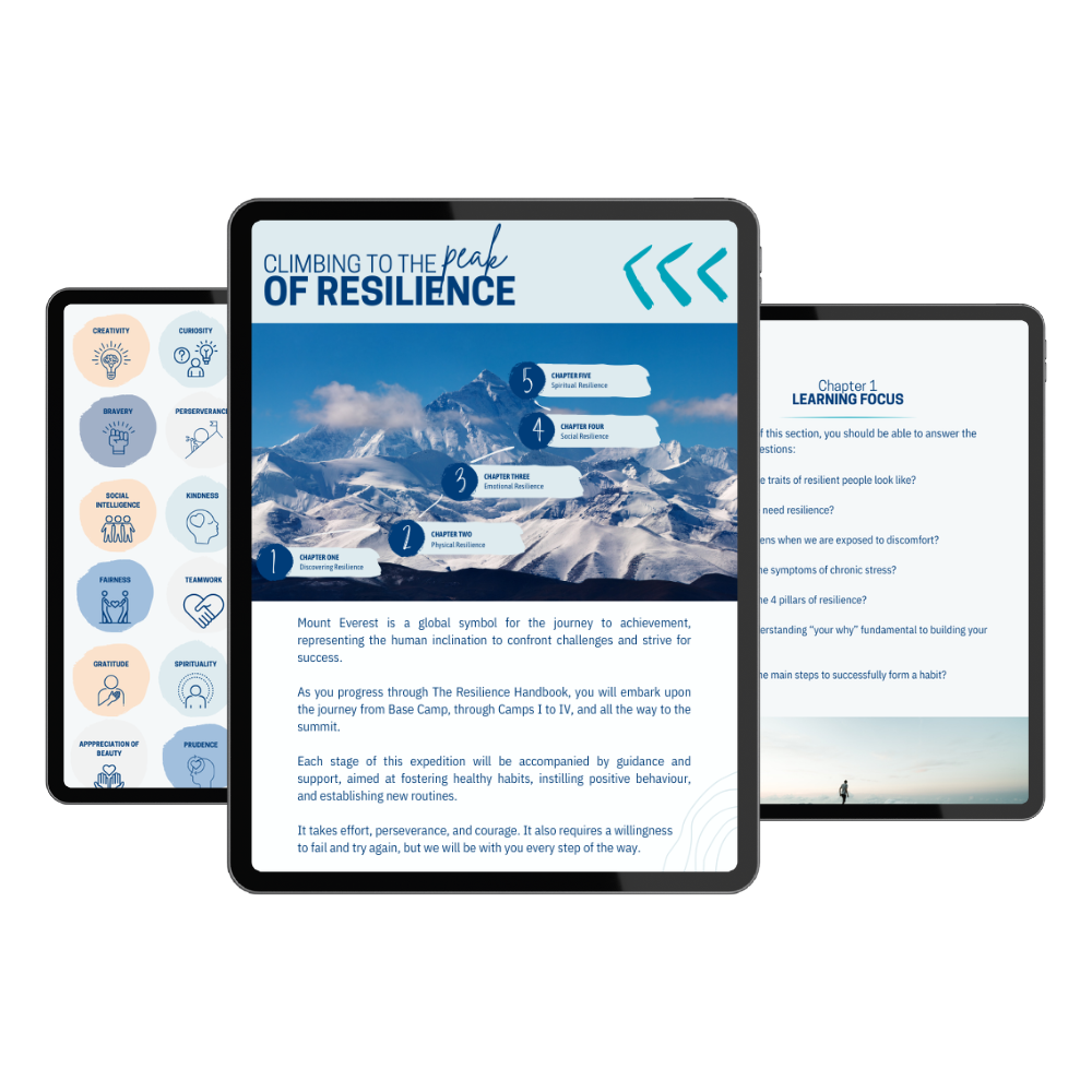 THE RESILIENCE HANDBOOK