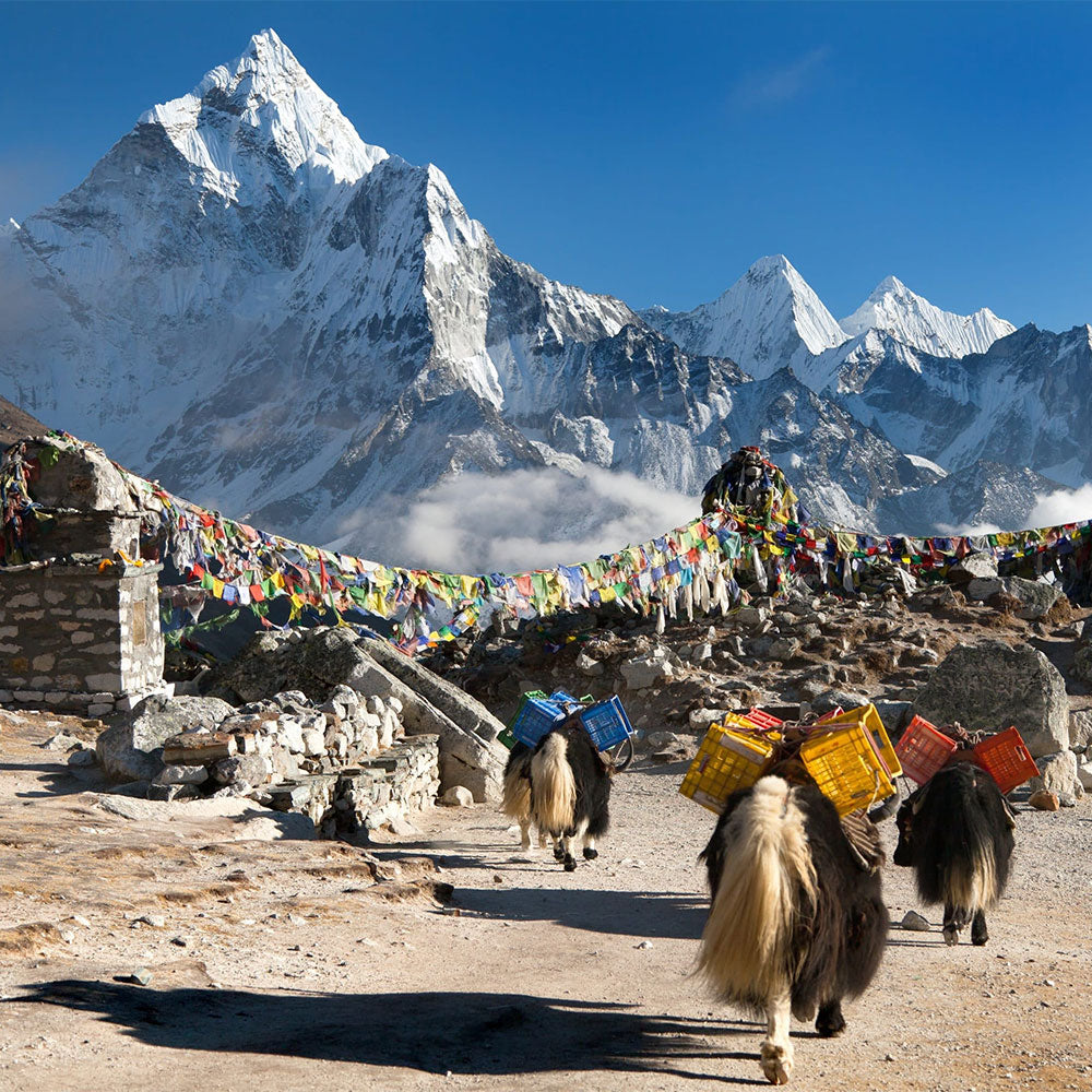 RESILIENCE FOR LIFE EVEREST BASE CAMP