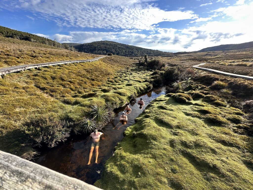 resilience training program for teams