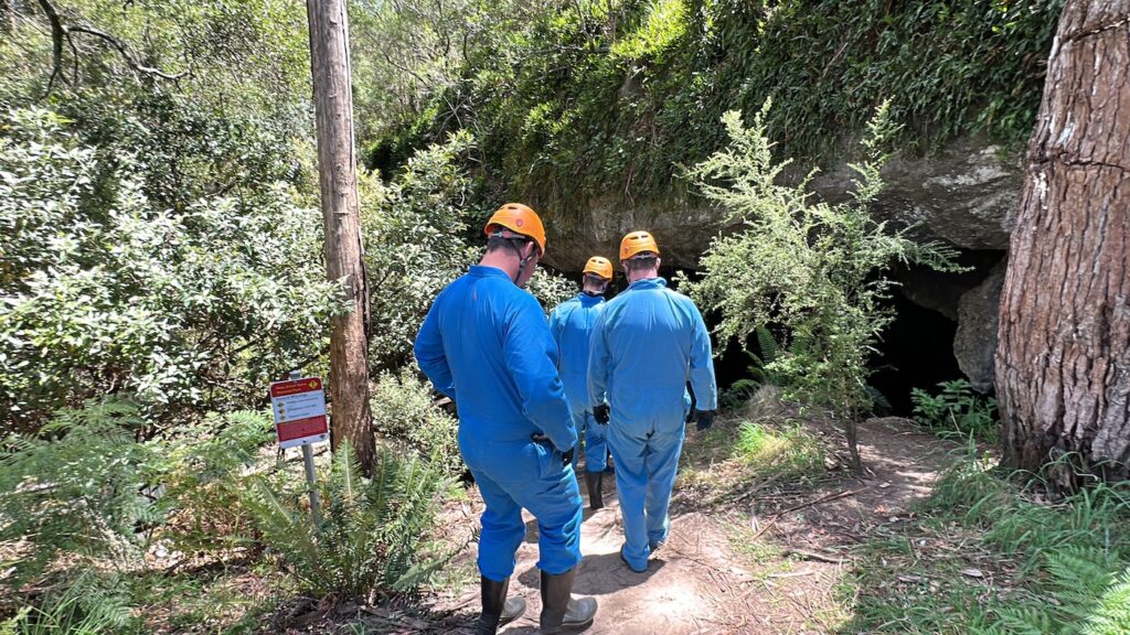 resilience training program for teams