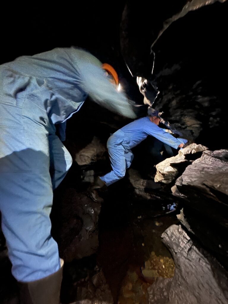 embracing uncertainty