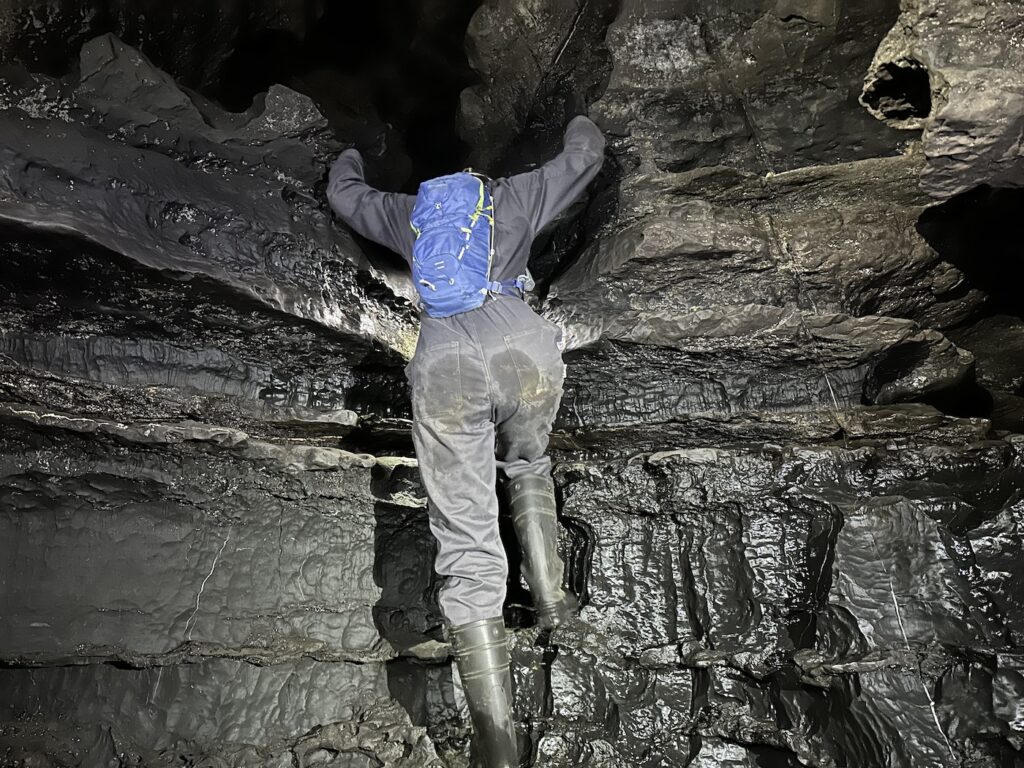 resilience training program for teams