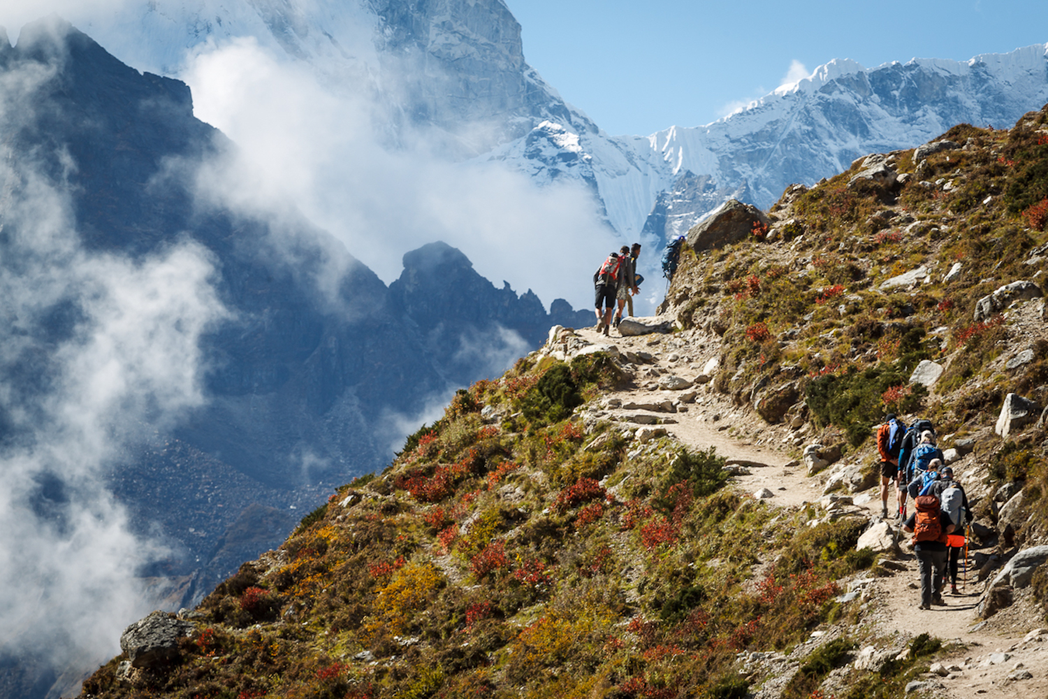 Welcome To The New Resilience Builders Website