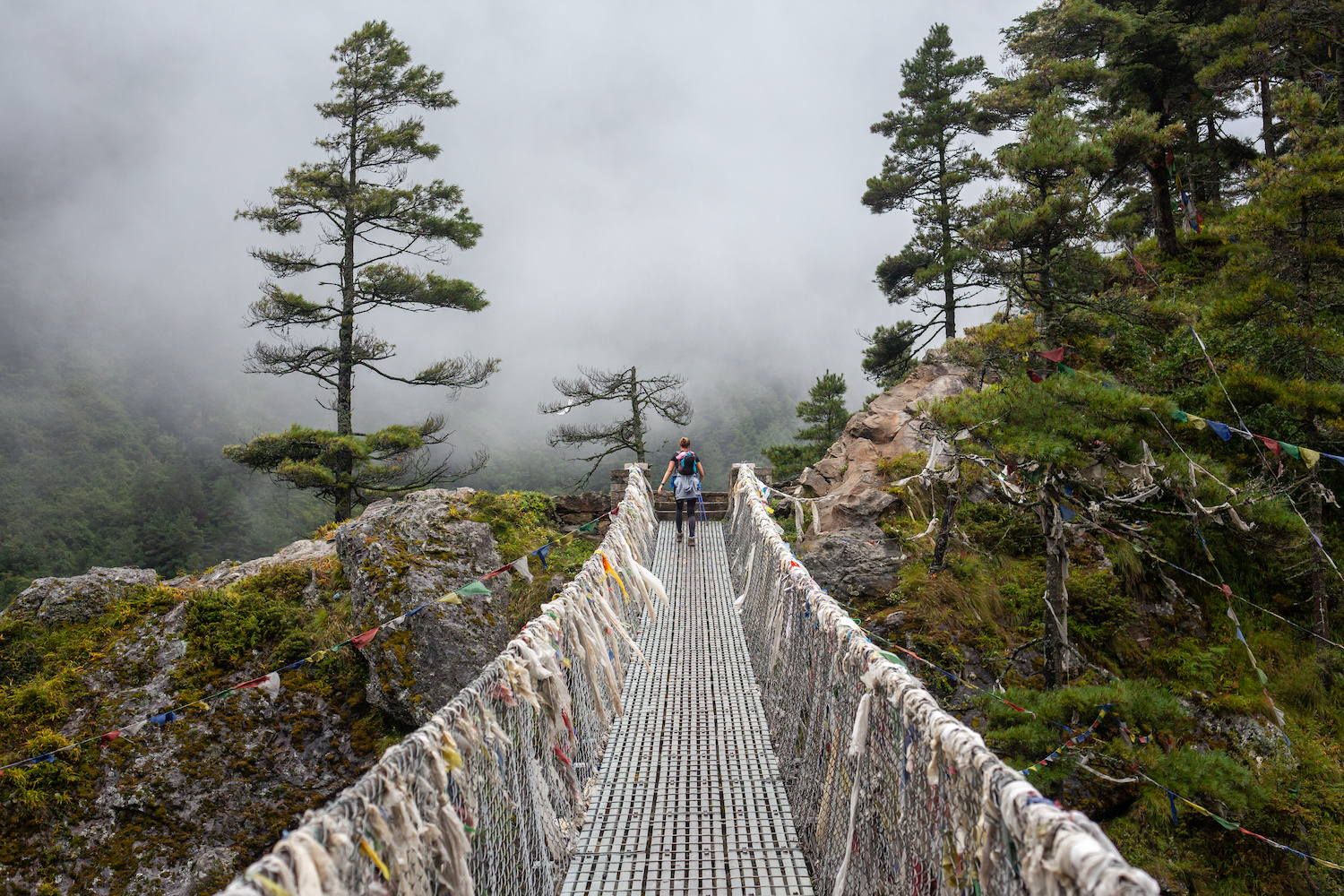 Embracing Uncertainty: How Resilience Is Really Built