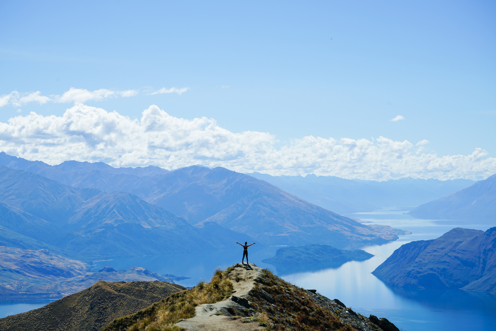 resilience training workshops