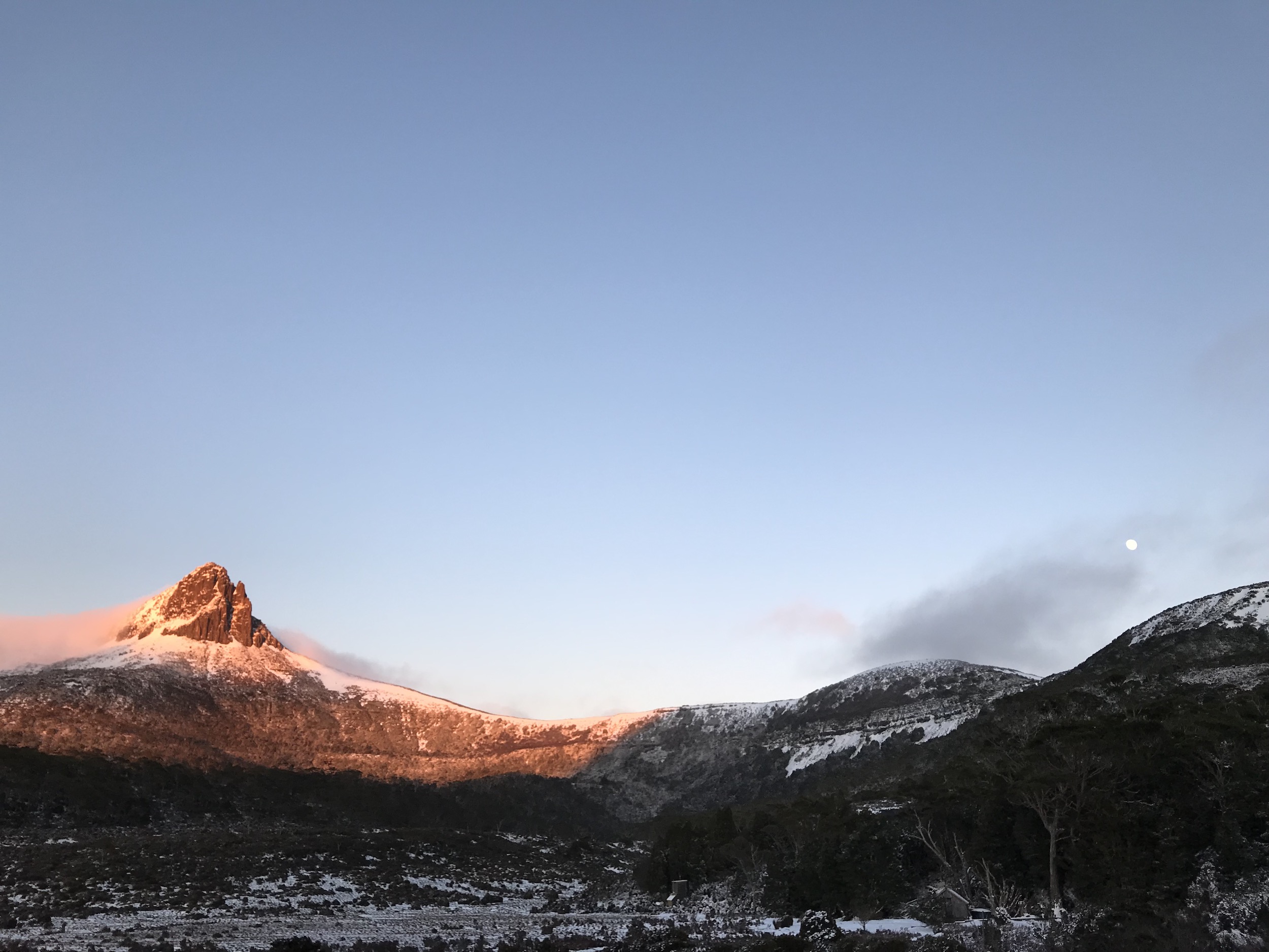 psychological safety workplace training