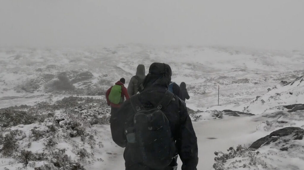 psychological safety in the workplace