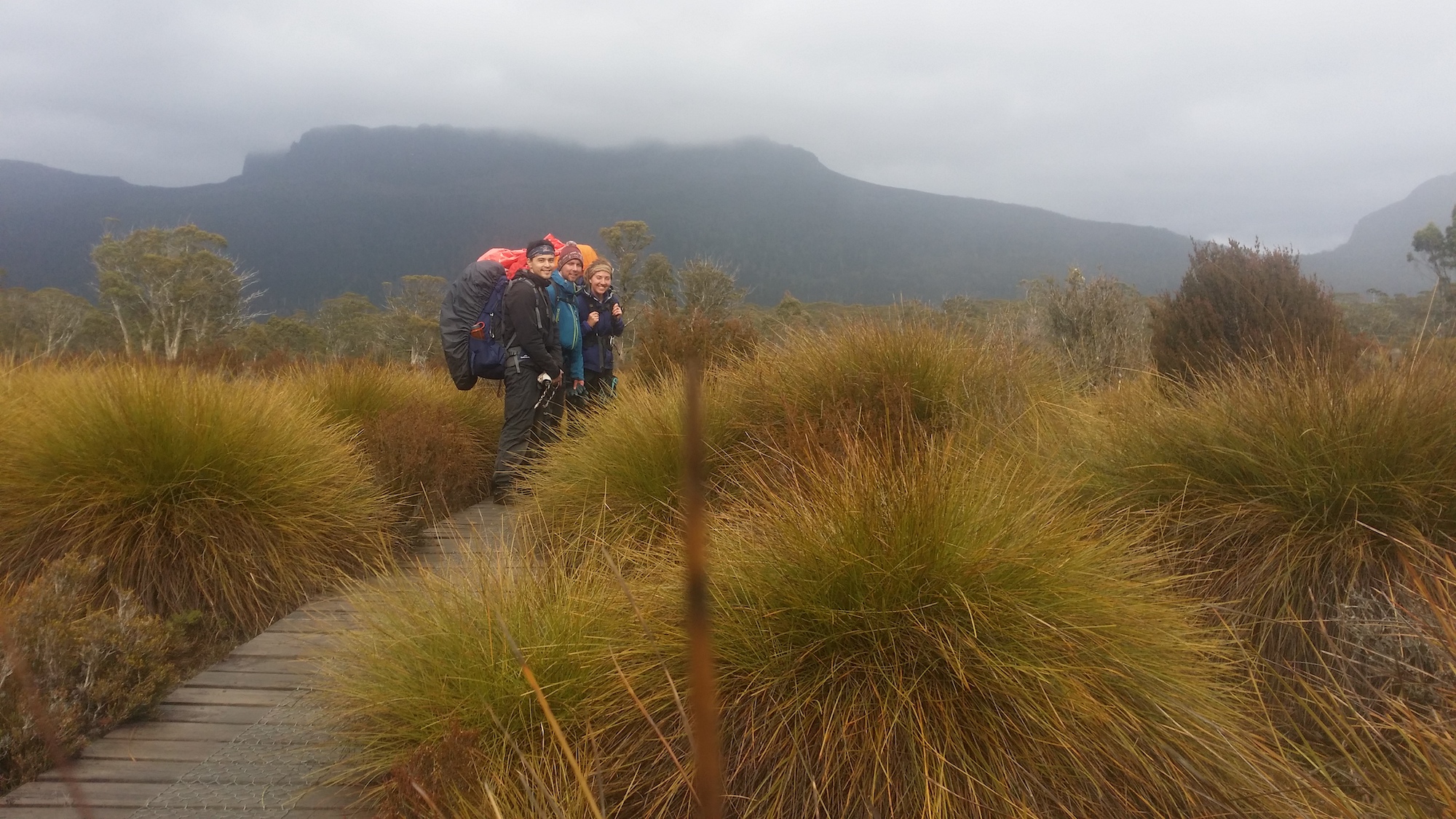 Resilience Training Programs for Teams | Proven Results