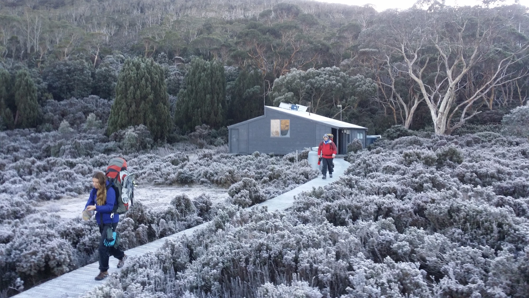 Resilience Training Programs for Teams | Proven Results